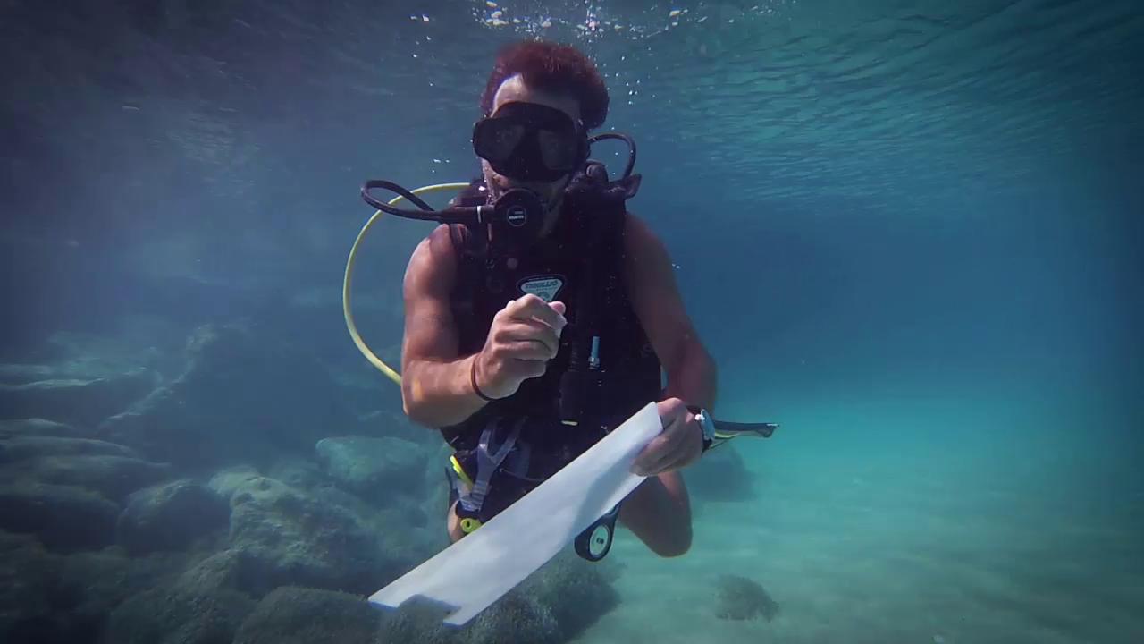 Akumal Dive Hotel